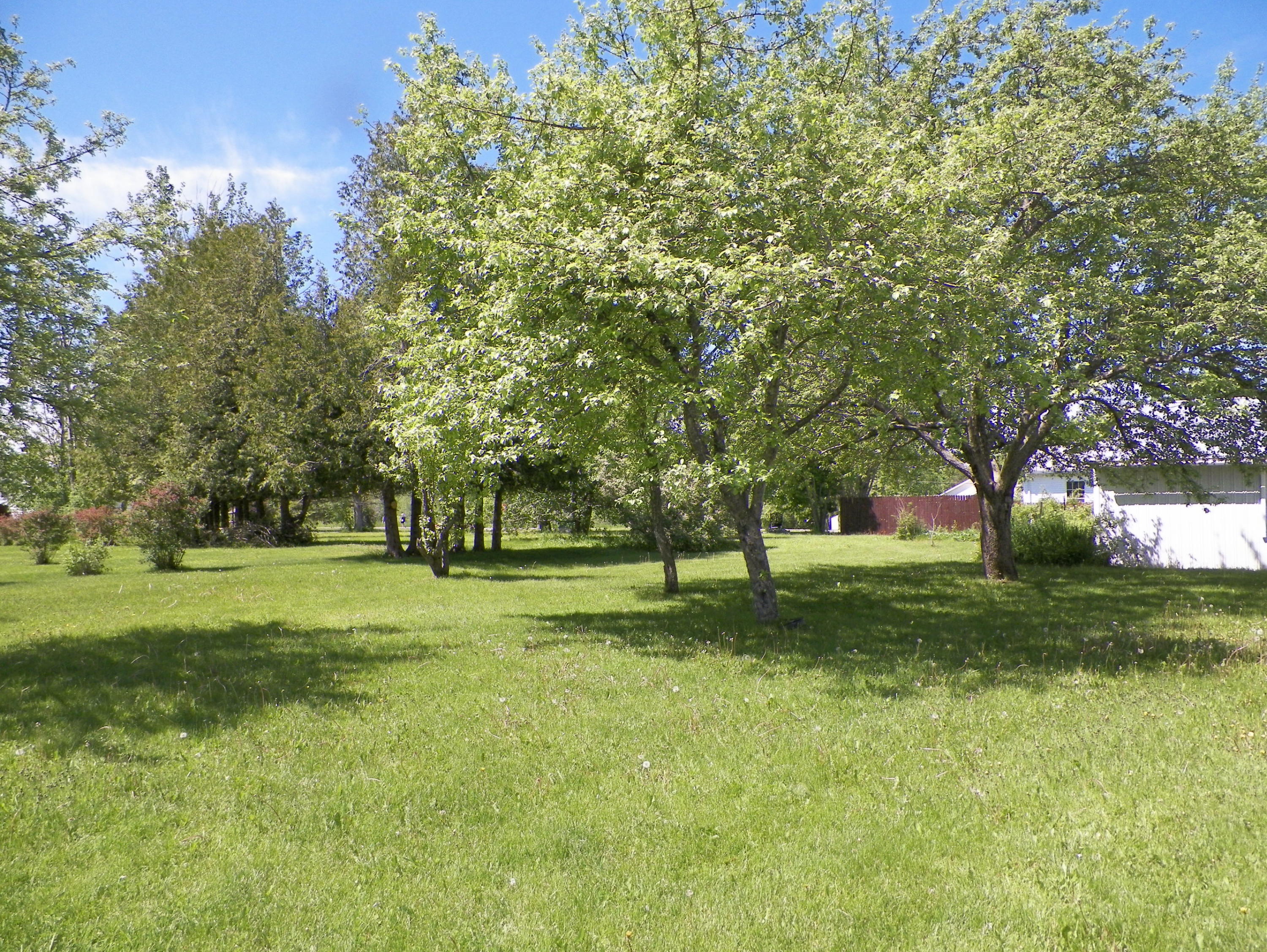 225 Byron Street Cheboygan, MI 49721 - Photo 33 of 36 Gallery Image 33