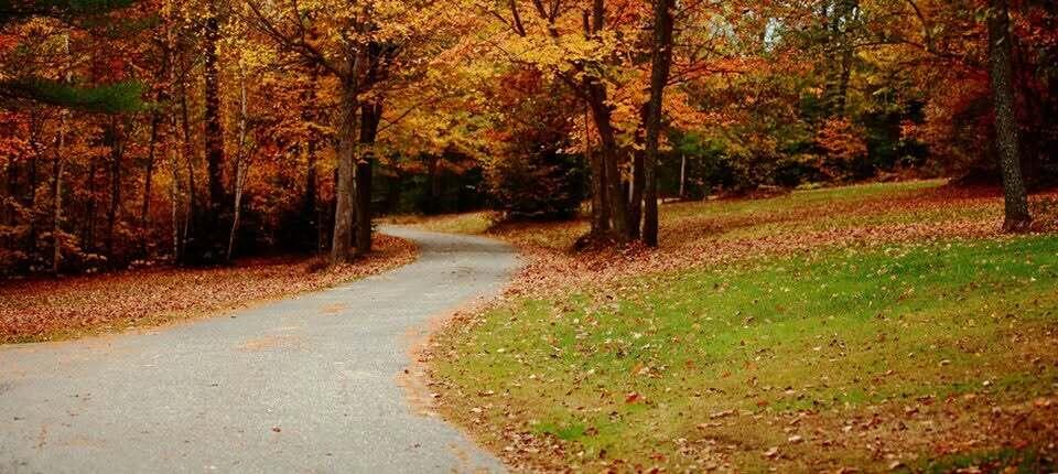 252 Chadbourne Road Waterford, ME 04088 - Photo 89 of 98 DRIVEWAY VIEW