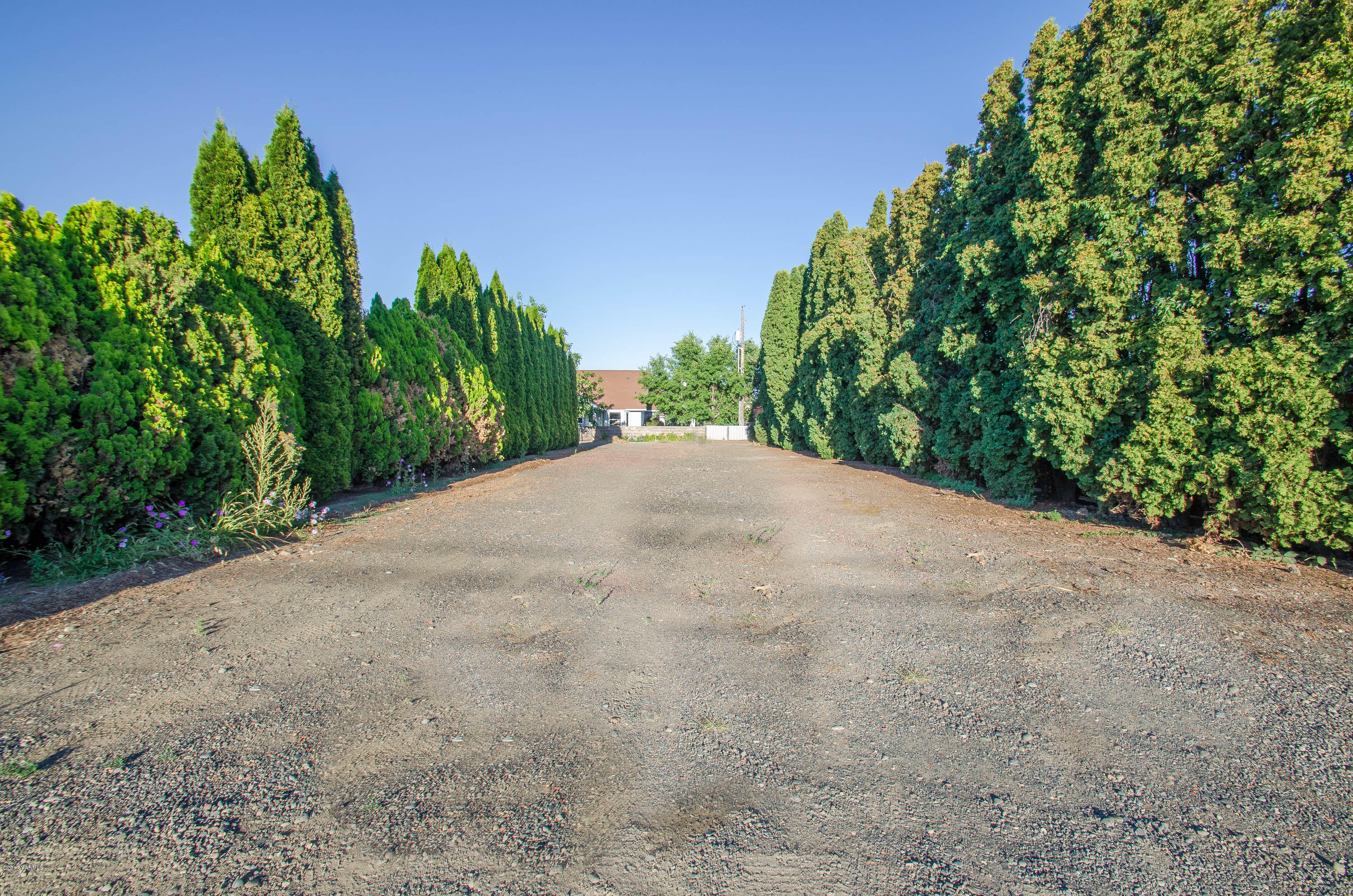 3591 Harrah Road Harrah, WA 98933 - Photo 20 of 20 a view of a plants with a tree