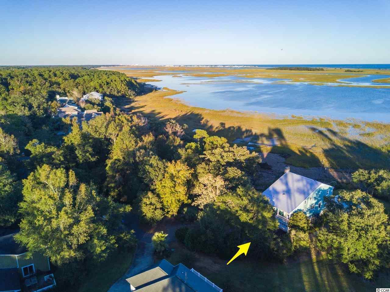 826 White Heron Circle Murrells Inlet, SC 29576 - Photo 11 of 40