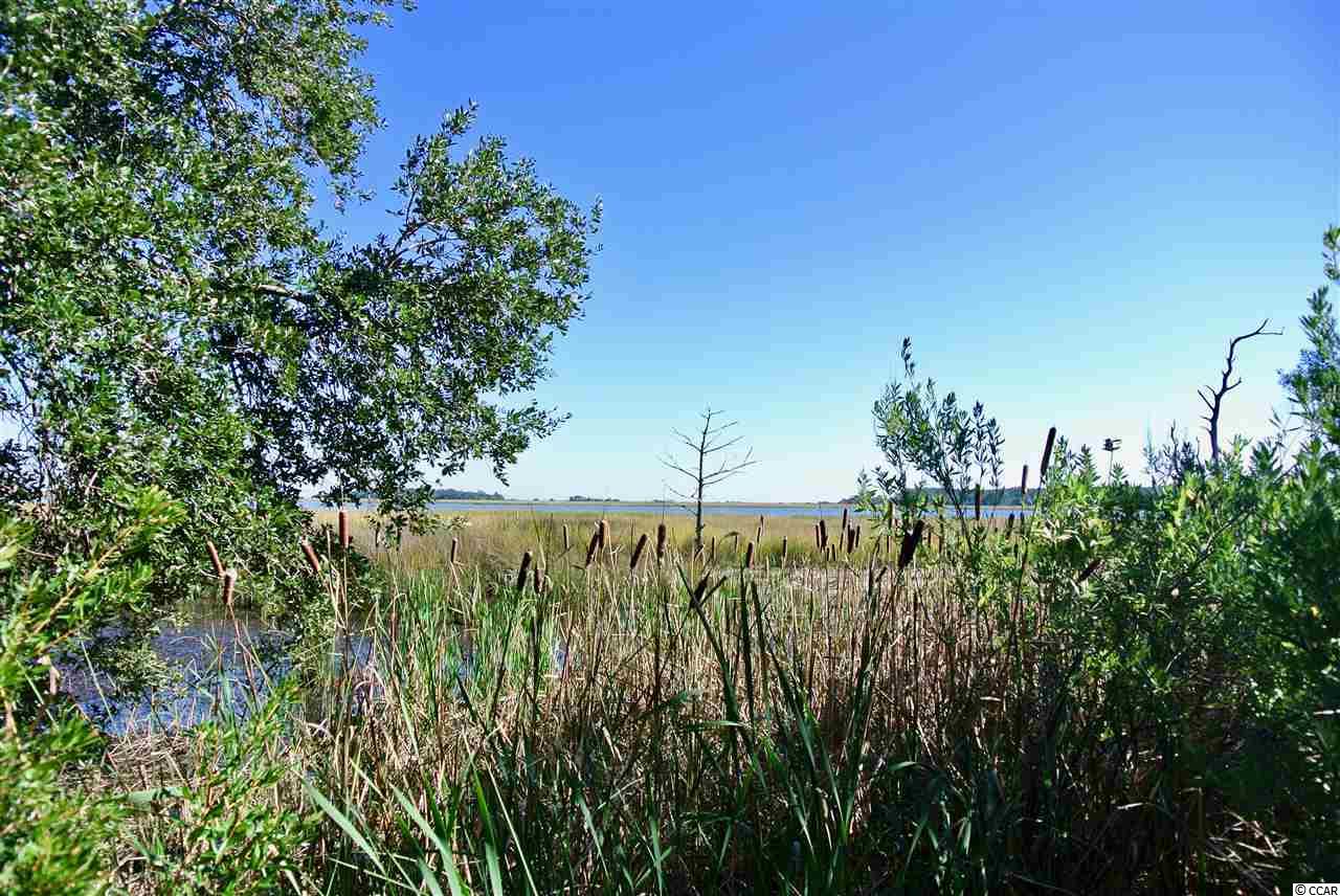 826 White Heron Circle Murrells Inlet, SC 29576 - Photo 13 of 40