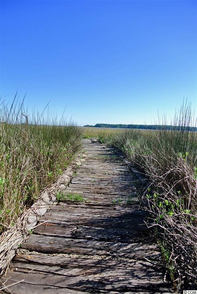 826 White Heron Circle Murrells Inlet, SC 29576 - Photo 14 of 40
