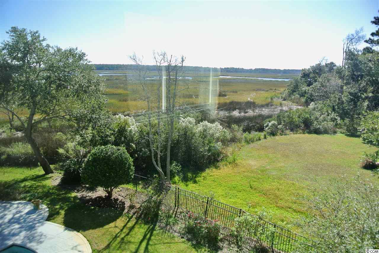 826 White Heron Circle Murrells Inlet, SC 29576 - Photo 39 of 40