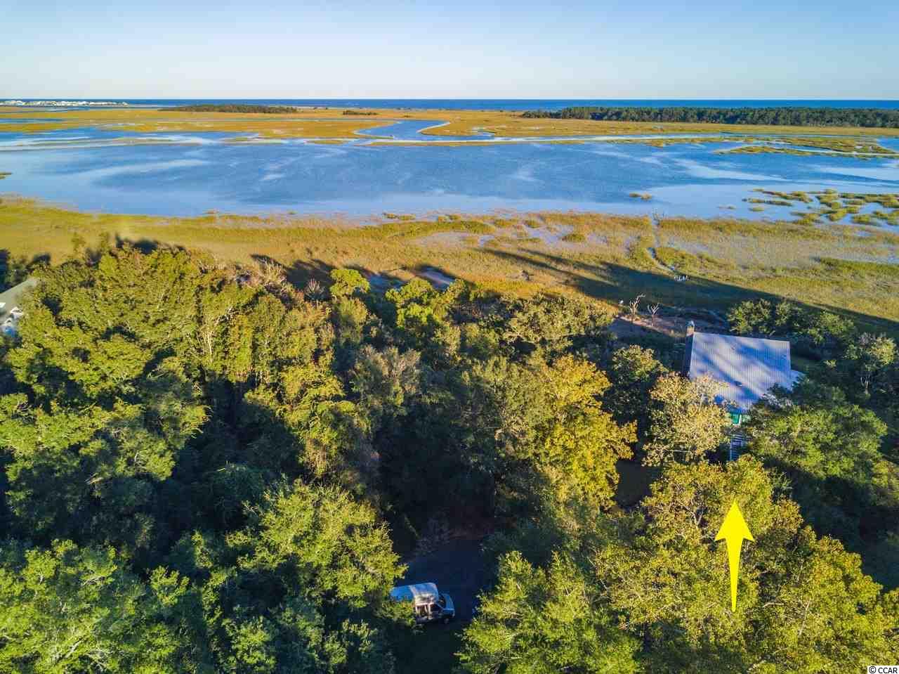 826 White Heron Circle Murrells Inlet, SC 29576 - Photo 7 of 40