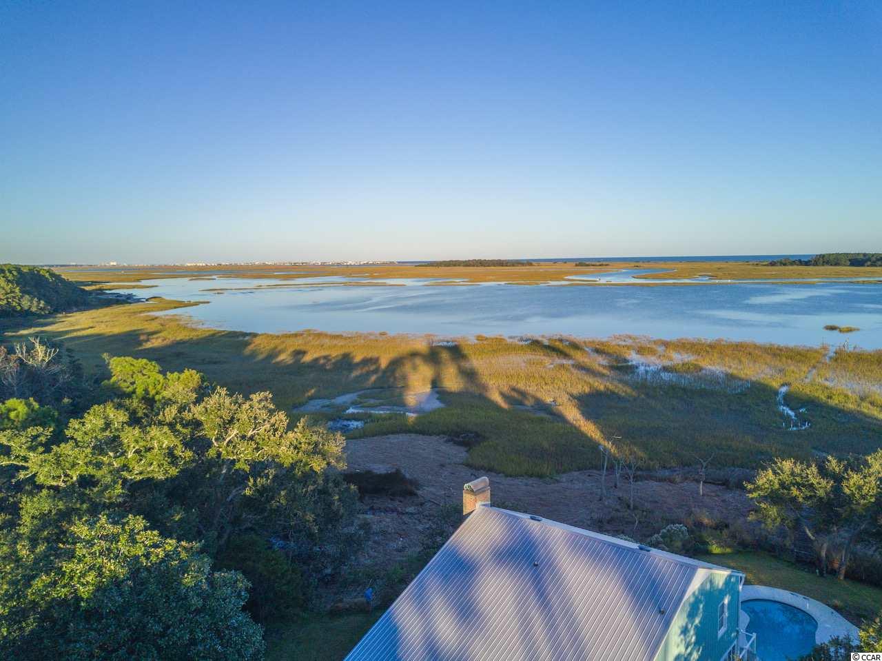 826 White Heron Circle Murrells Inlet, SC 29576 - Photo 9 of 40