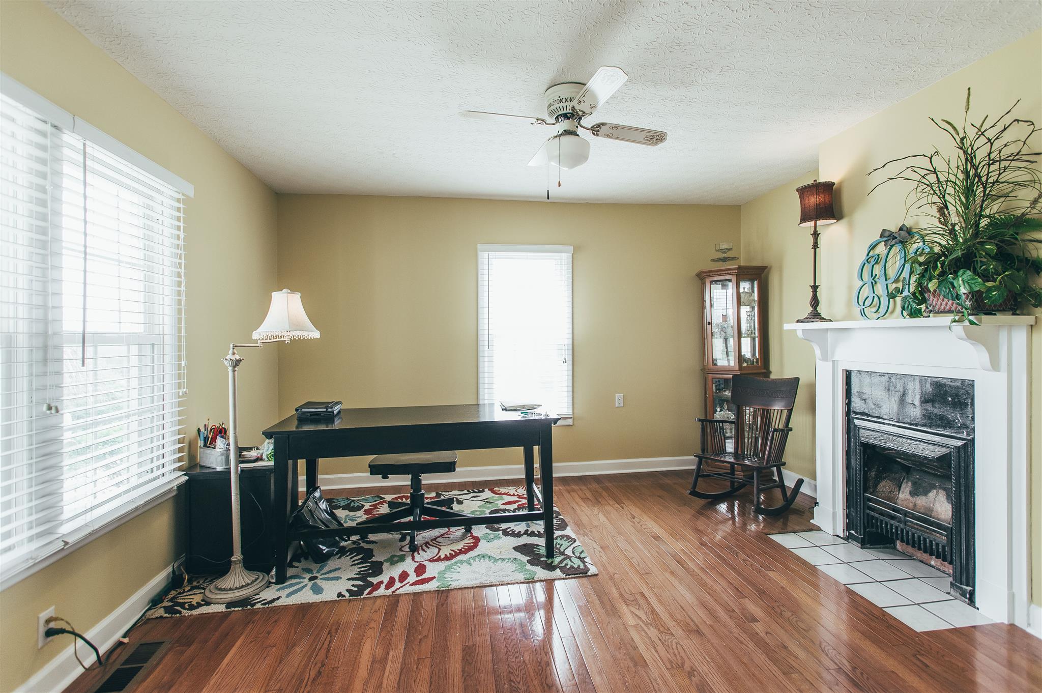 498 Canoe Branch Road Castalian Springs, TN 37031 - Photo 4 of 30 a living room with furniture and a fireplace