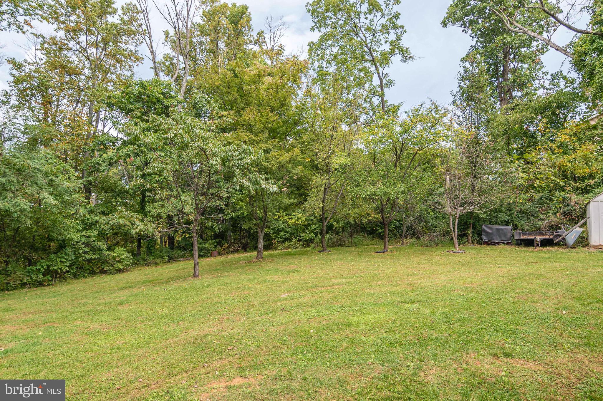 783 High Top Road Linden, VA 22642 - Photo 12 of 39