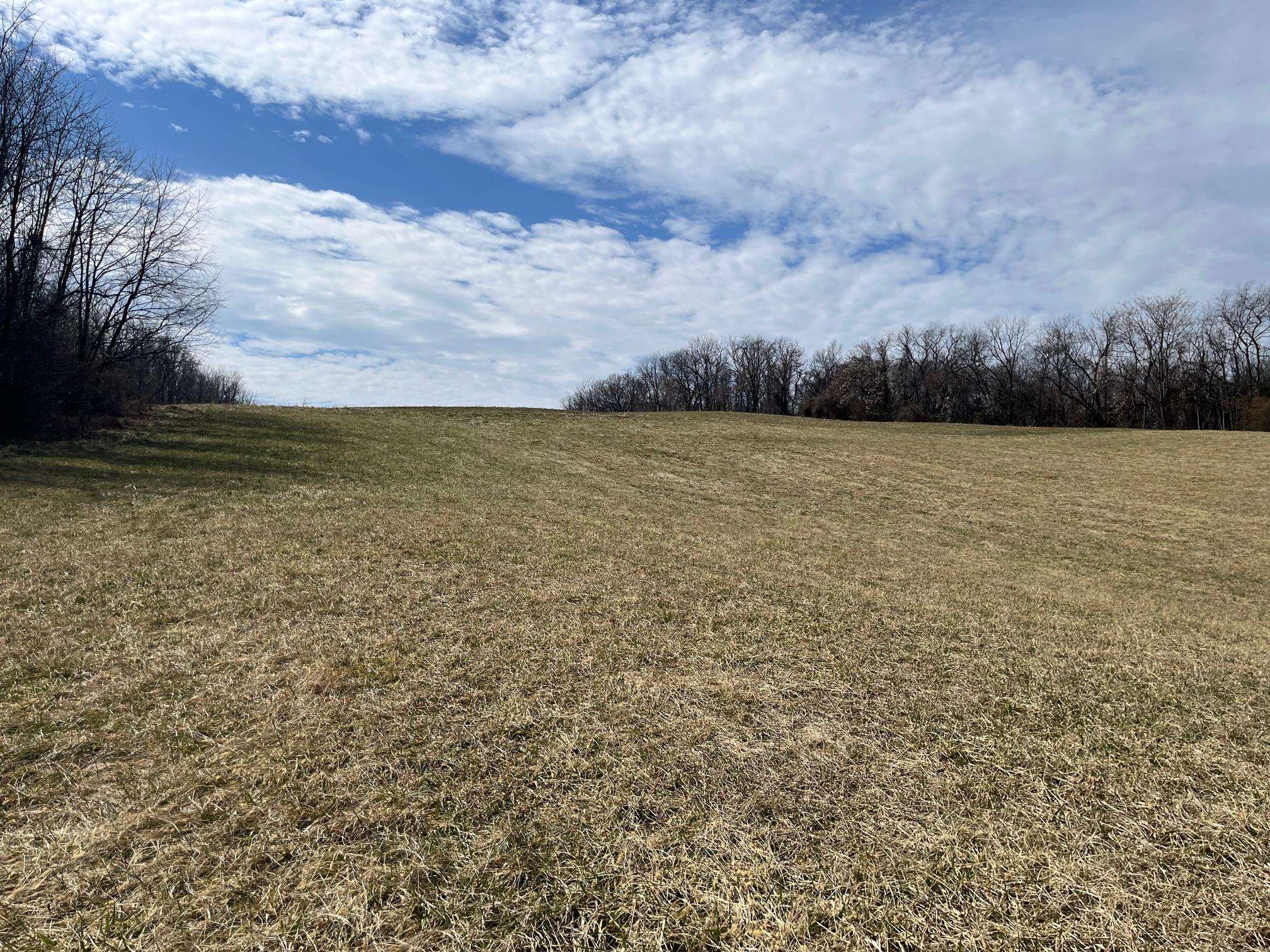 Tbd Seawright Springs Road Mount Sidney, VA 24467 - Photo 3 of 6 Gallery Image 3