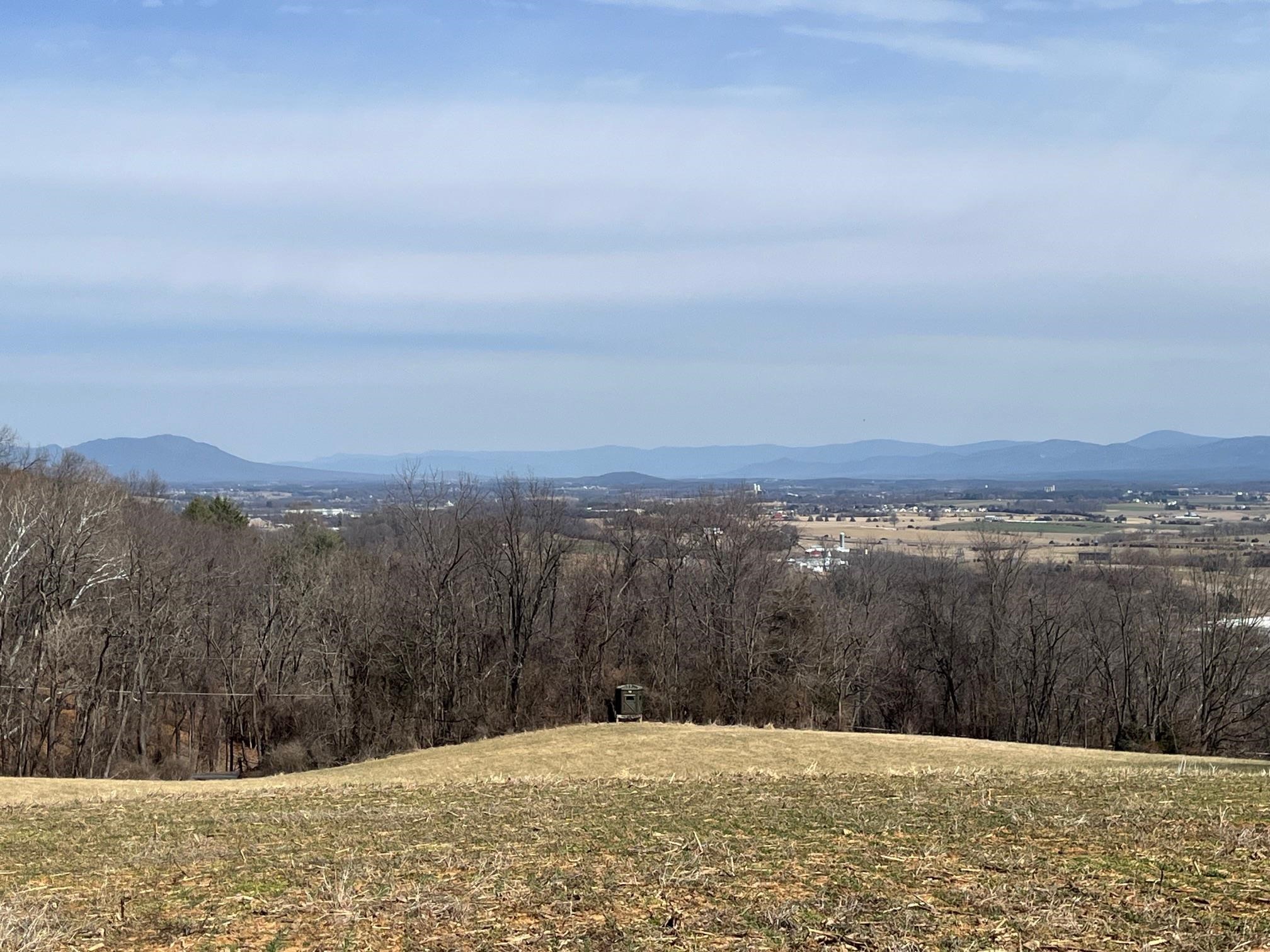 Tbd Seawright Springs Road Mount Sidney, VA 24467 - Photo 5 of 6 Gallery Image 5