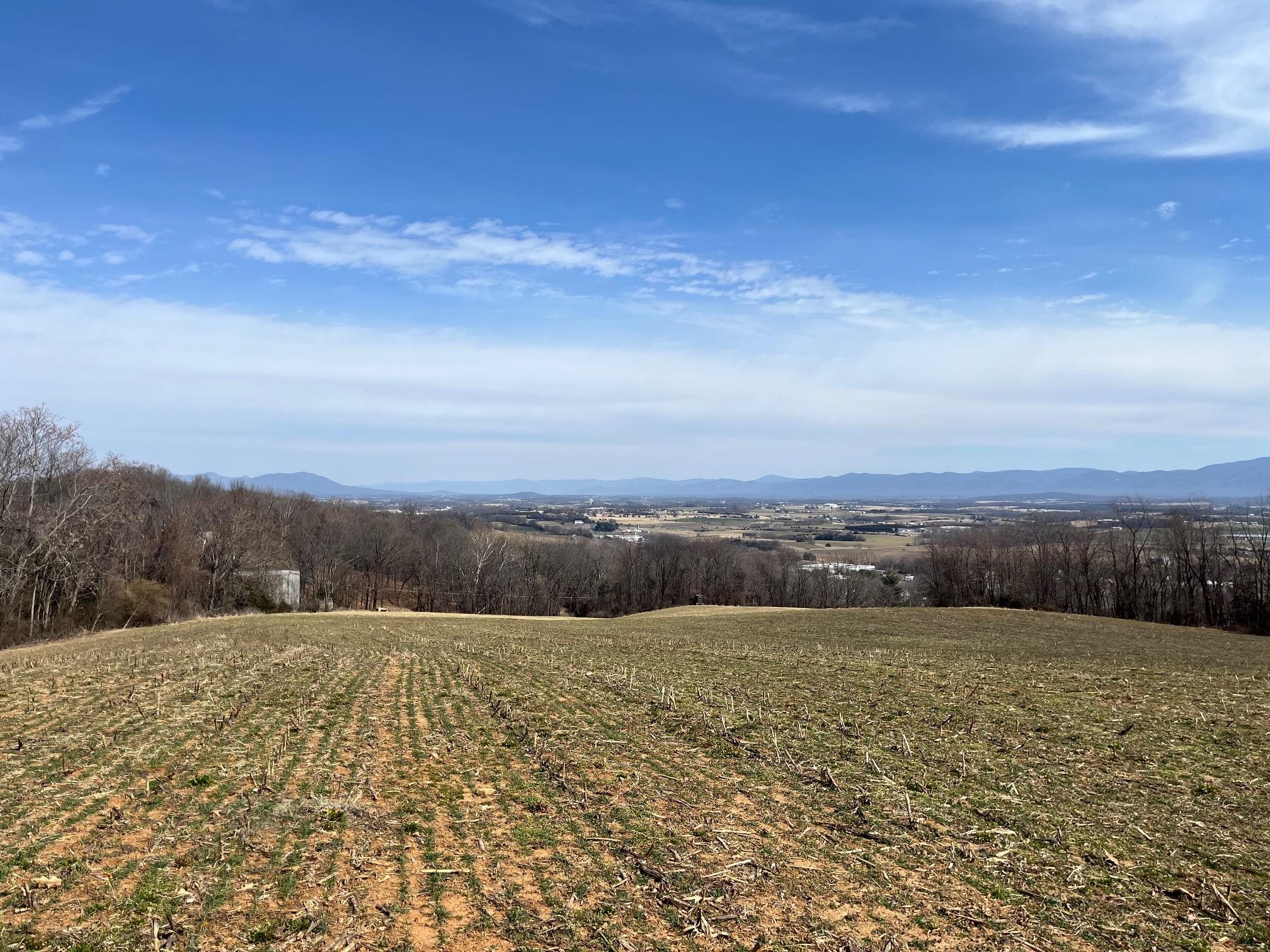 Tbd Seawright Springs Road Mount Sidney, VA 24467 - Photo 6 of 6 Gallery Image 6