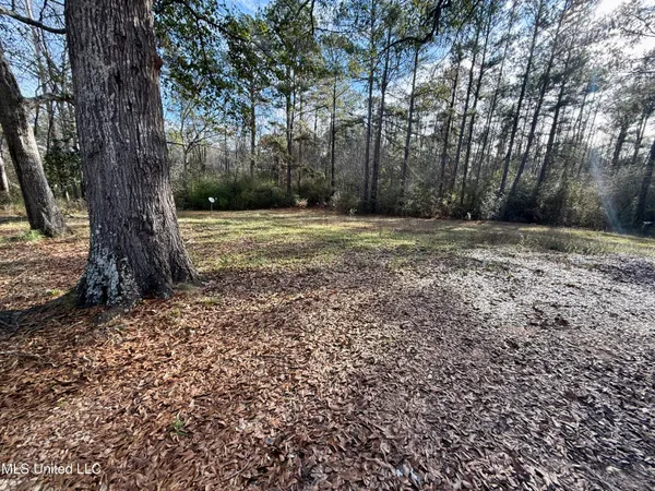 $171,000 | 1510 Carmel-New Hope Road, Monticello, MS 39654