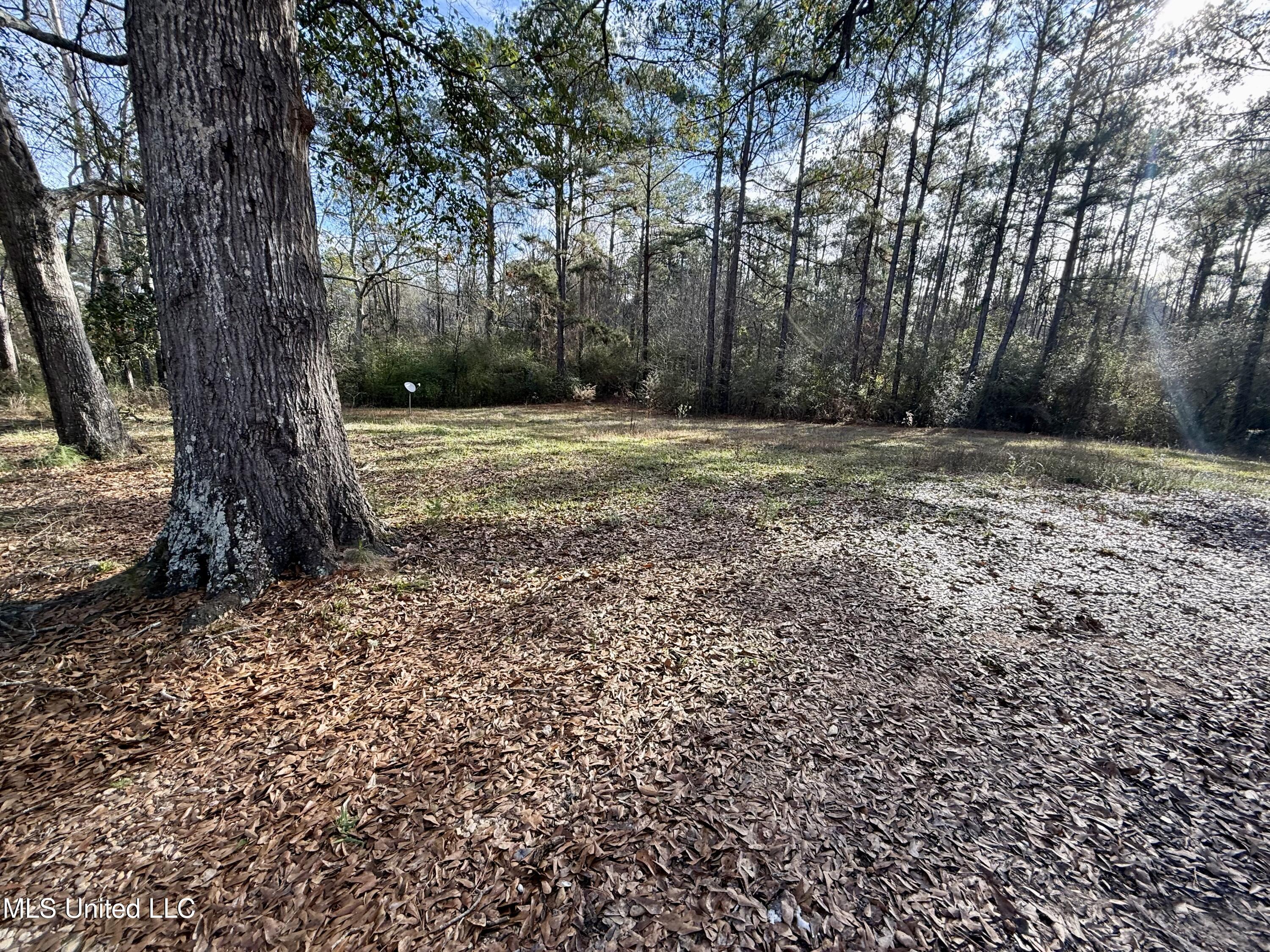 1510 Carmel-New Hope Road Monticello, MS 39654 - Photo 20 of 22 IMG_3943