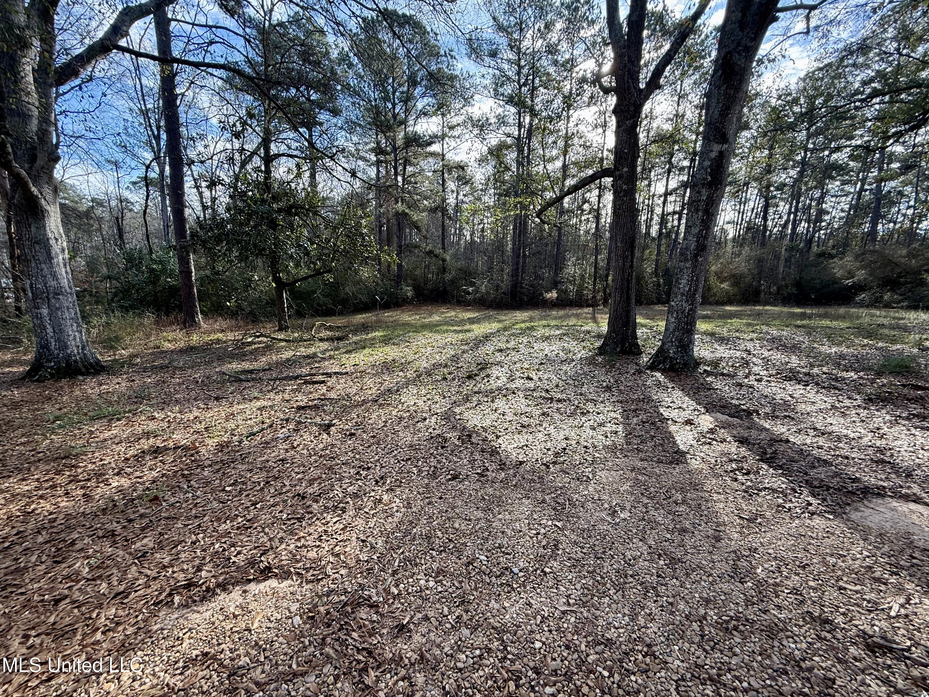 1510 Carmel-New Hope Road Monticello, MS 39654 - Photo 21 of 22 IMG_3942
