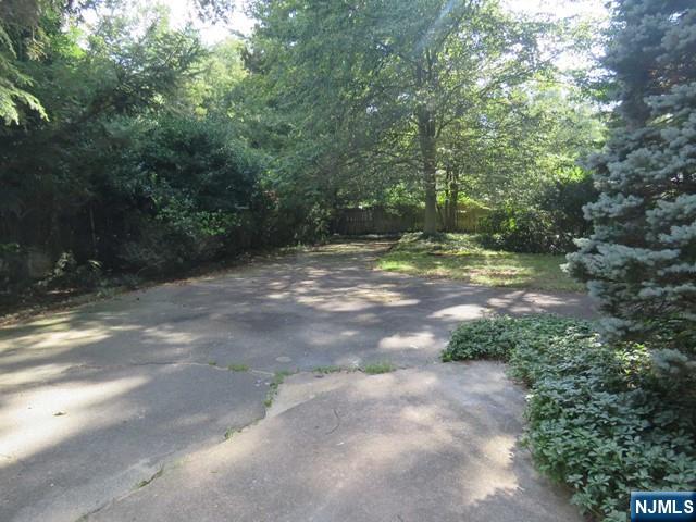 289 Hardenburgh Avenue Demarest, NJ 07627 - Photo 42 of 43 a view of a yard with a tree