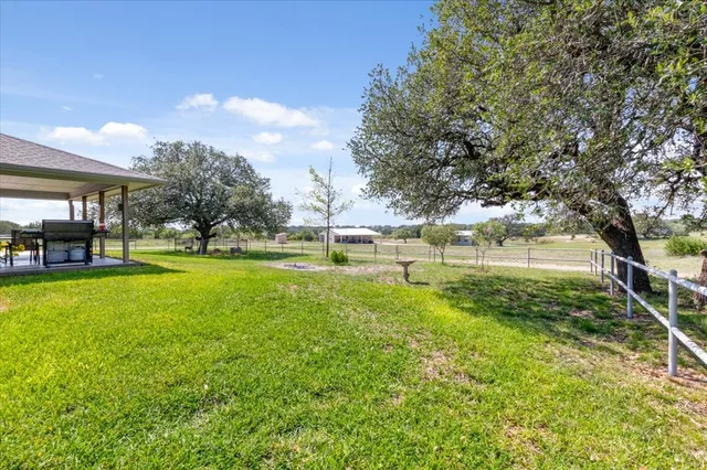 a view of a park with large trees