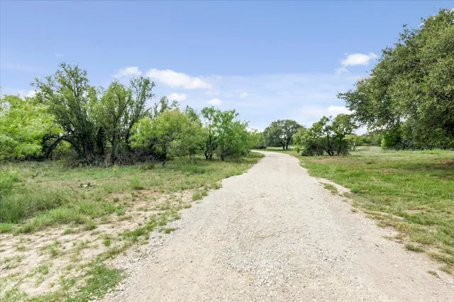 a view of a park with large trees