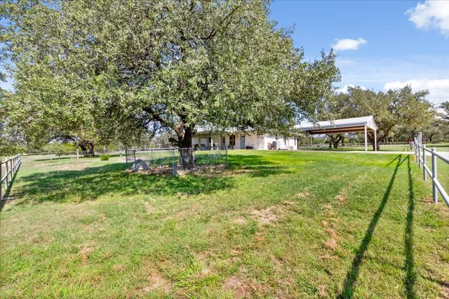 a view of a park with large trees