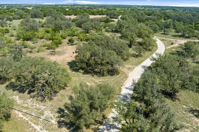 a view of a forest with a street