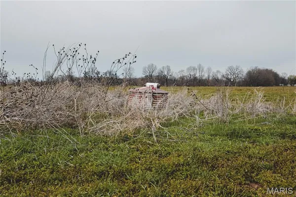 $700,000 | 0 County Road 260, Bloomfield, MO 63825