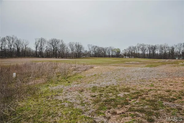 $700,000 | 0 County Road 260, Bloomfield, MO 63825