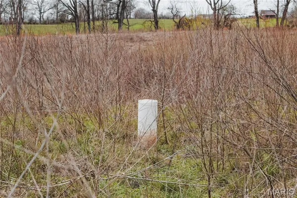 $700,000 | 0 County Road 260, Bloomfield, MO 63825