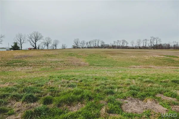 $700,000 | 0 County Road 260, Bloomfield, MO 63825