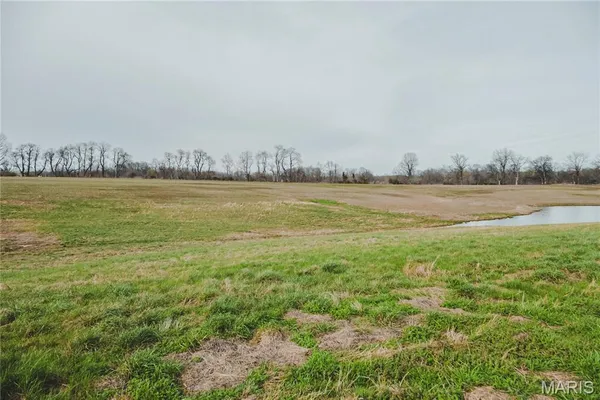 $700,000 | 0 County Road 260, Bloomfield, MO 63825