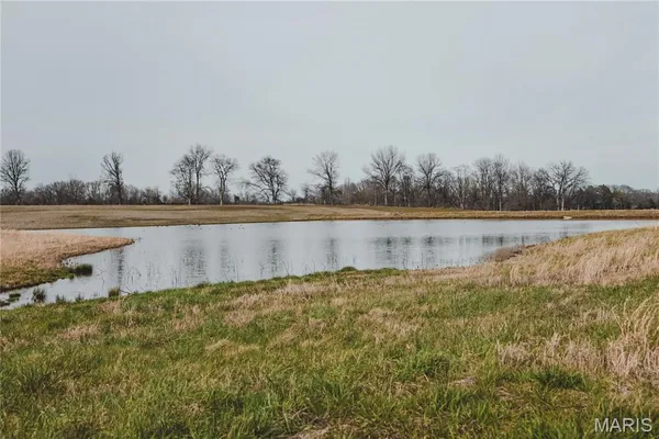 $700,000 | 0 County Road 260, Bloomfield, MO 63825