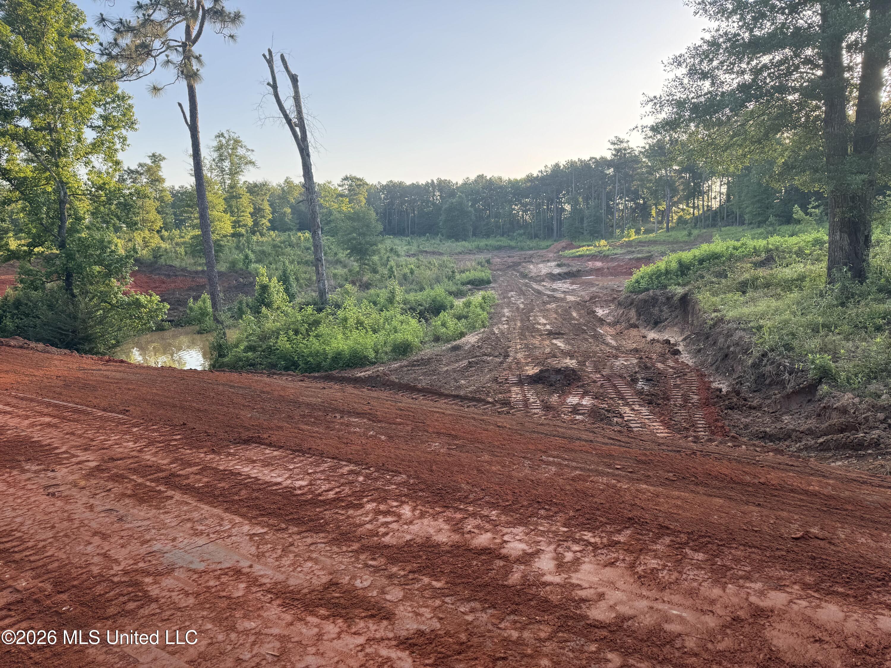 0 Biltmore Road McComb, MS 39648 - Photo 18 of 18 IMG_1648