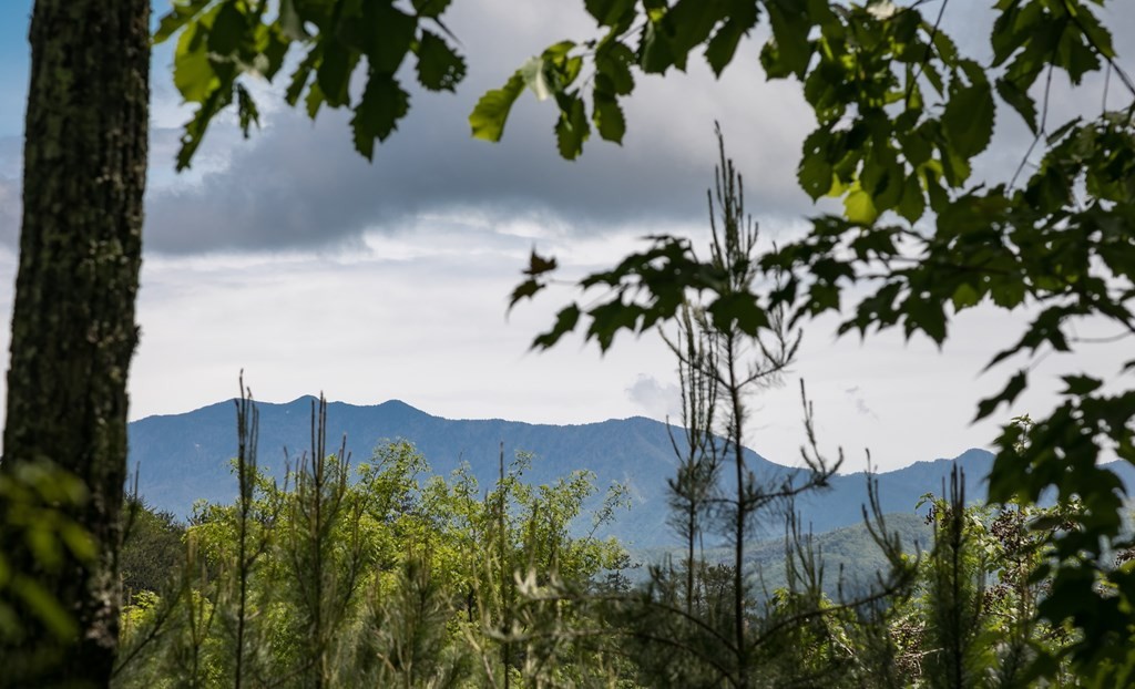 134 Summit Trails Drive Sevierville, TN 37862 - Photo 4 of 19