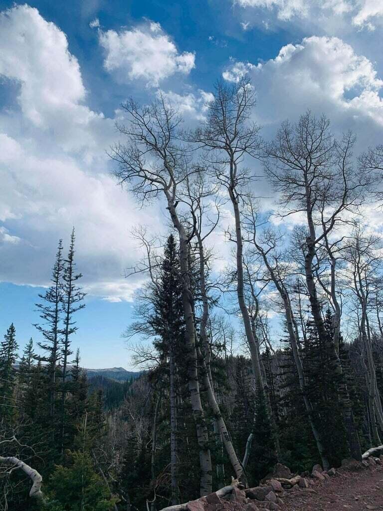 West Village Beaver, UT 84713 - Photo 23 of 27 20210514104017957555000000-o