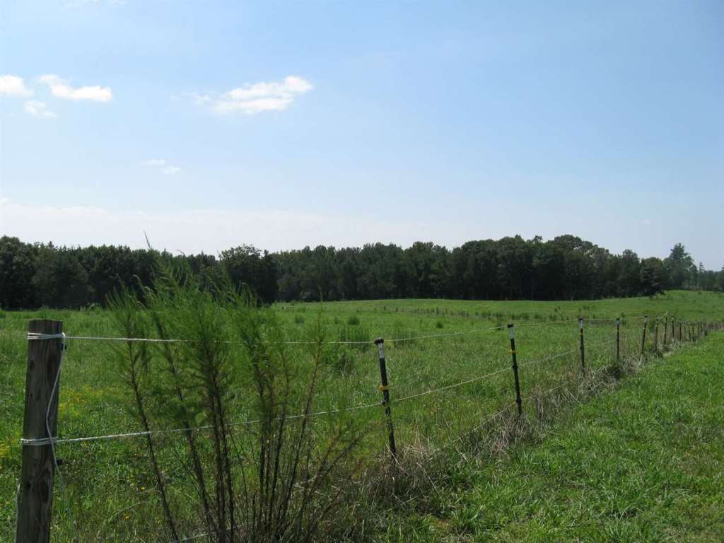 136 Sam Turner Road Iva, SC 29655 - Photo 3 of 5