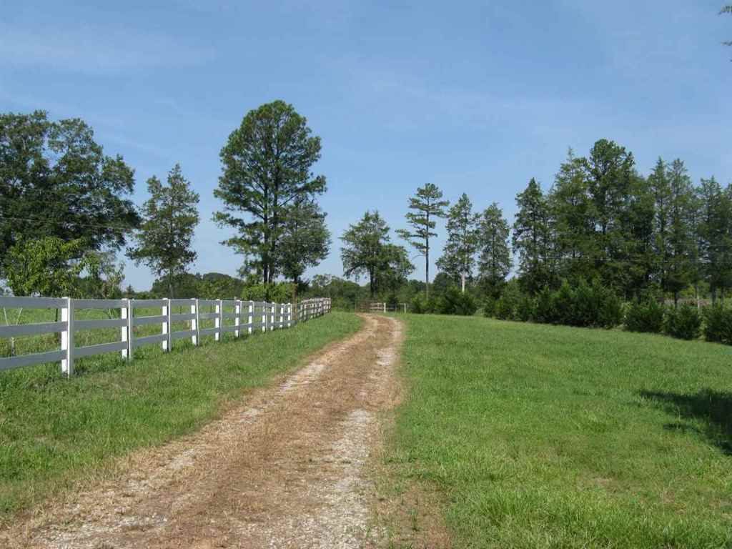 136 Sam Turner Road Iva, SC 29655 - Photo 5 of 5