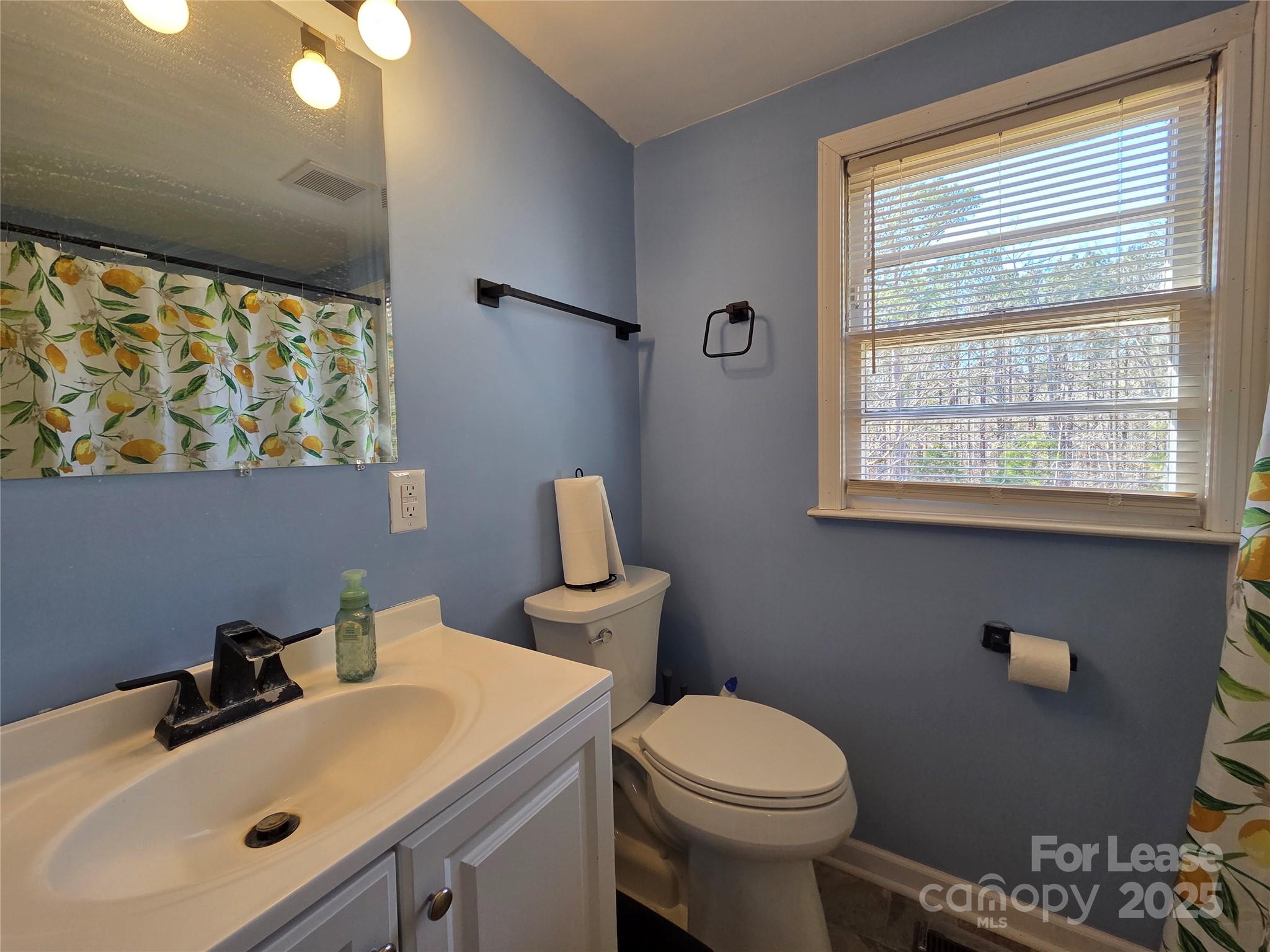 8334 Oak Tree Road Sharon, SC 29742 - Photo 13 of 15 a bathroom with a sink toilet and mirror
