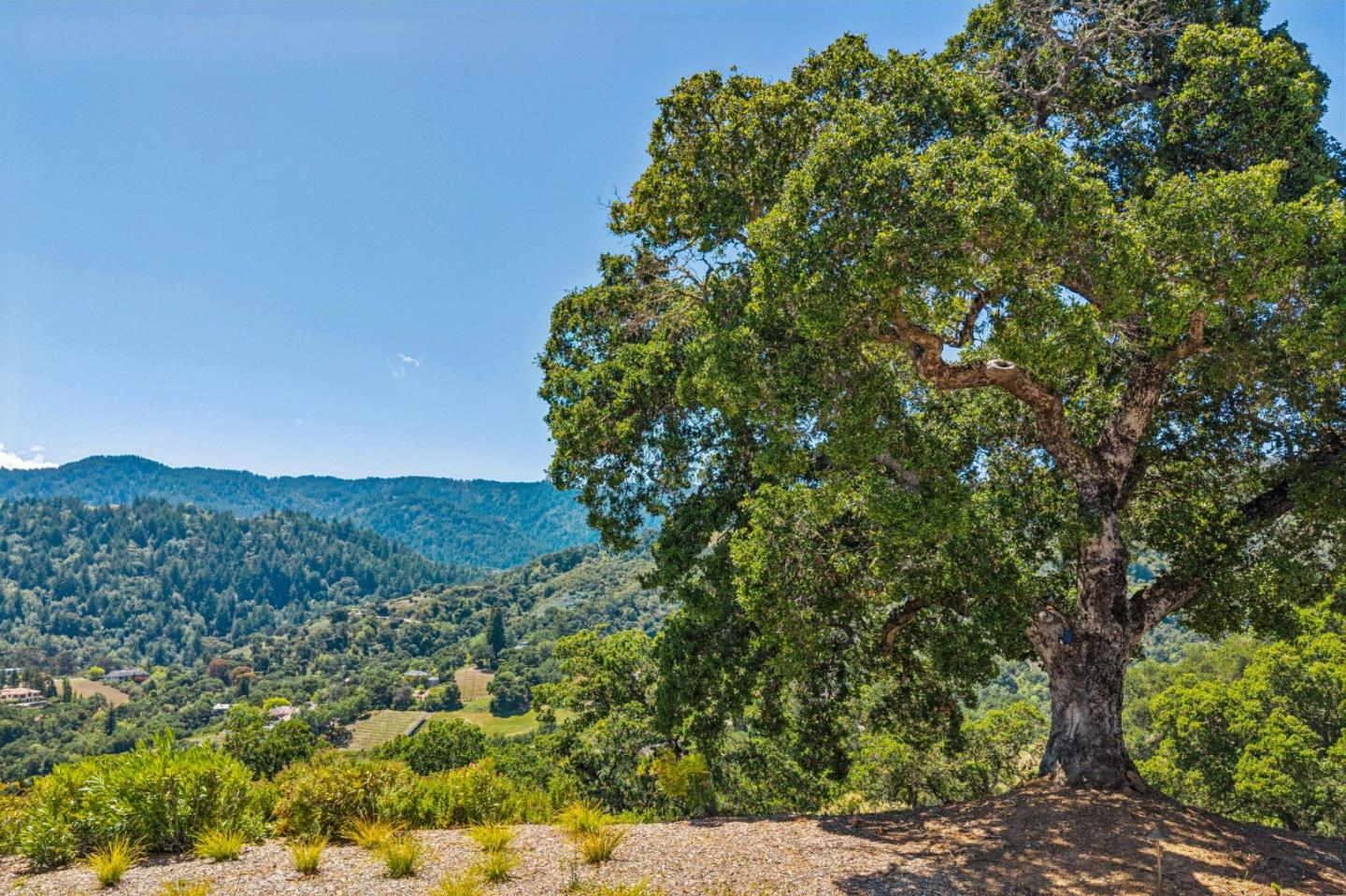 21668 Toll Gate Road Saratoga, CA 95070 - Photo 54 of 55
