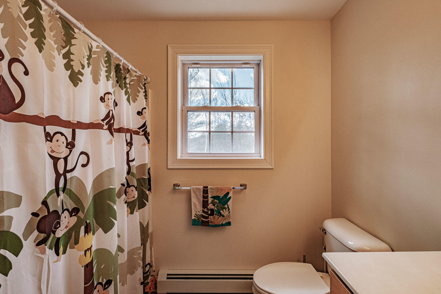 55 Emery Road Standish, ME 04084 - Photo 41 of 67 20200411gp-61045