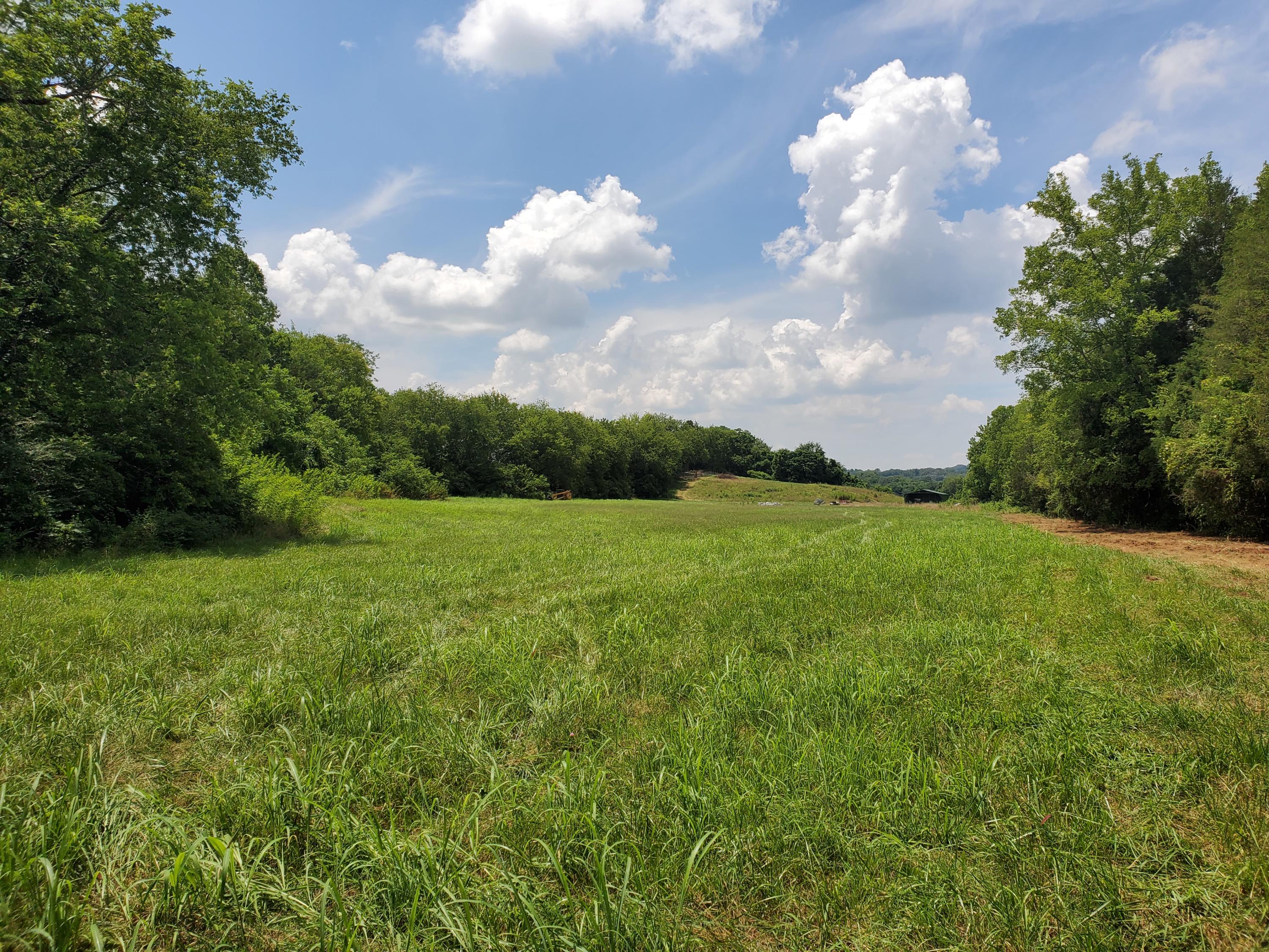 Pasture along creek at tract 5
