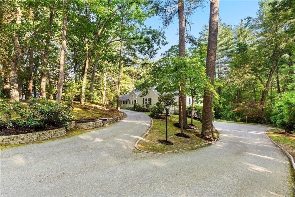 156 Cherry Brook Road Weston, MA 02493 - Photo 26 of 30 a view of a park with plants and trees
