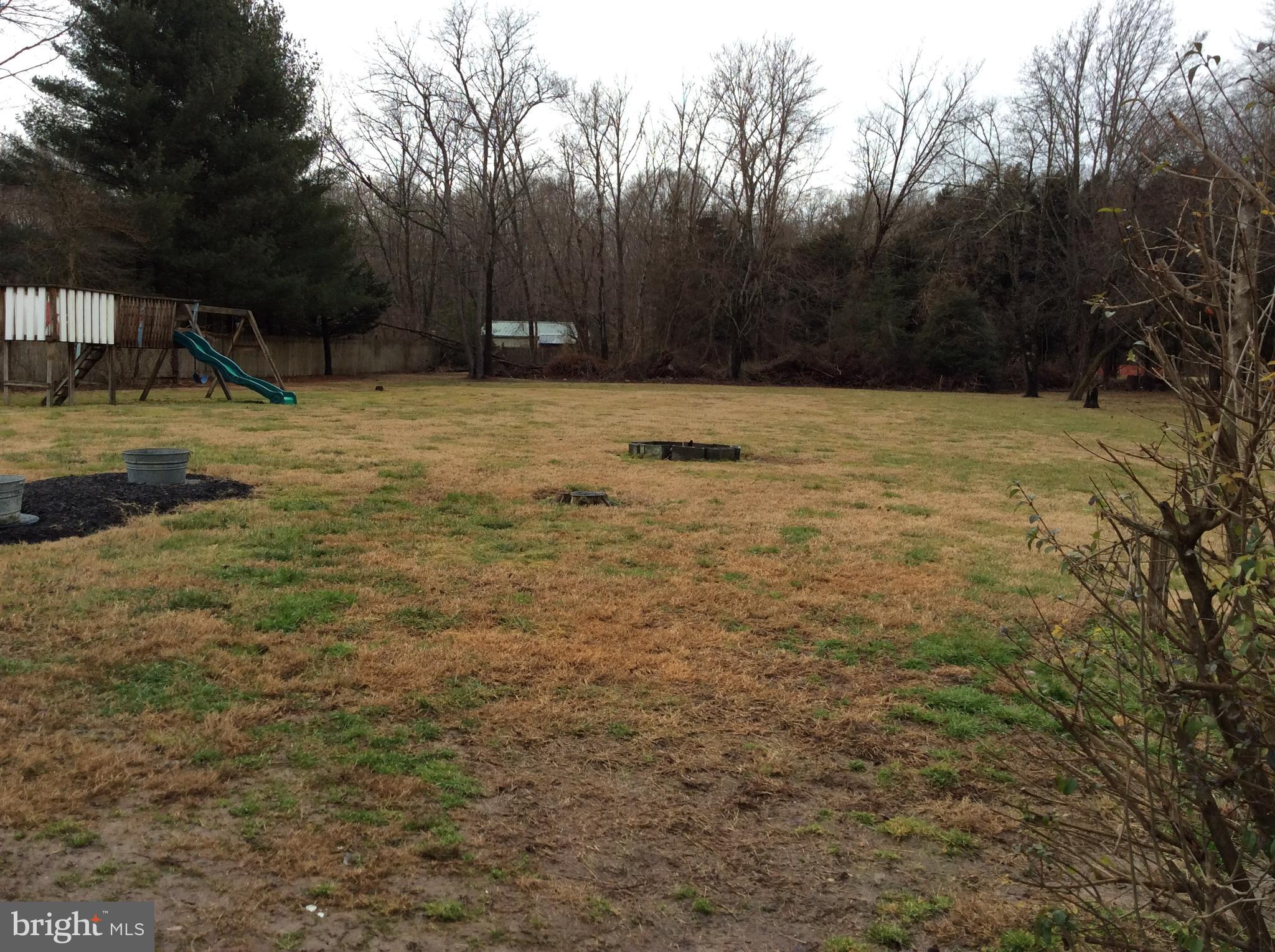 1711 Busic Church Road Marydel, MD 21649 - Photo 4 of 30 Plenty room for play