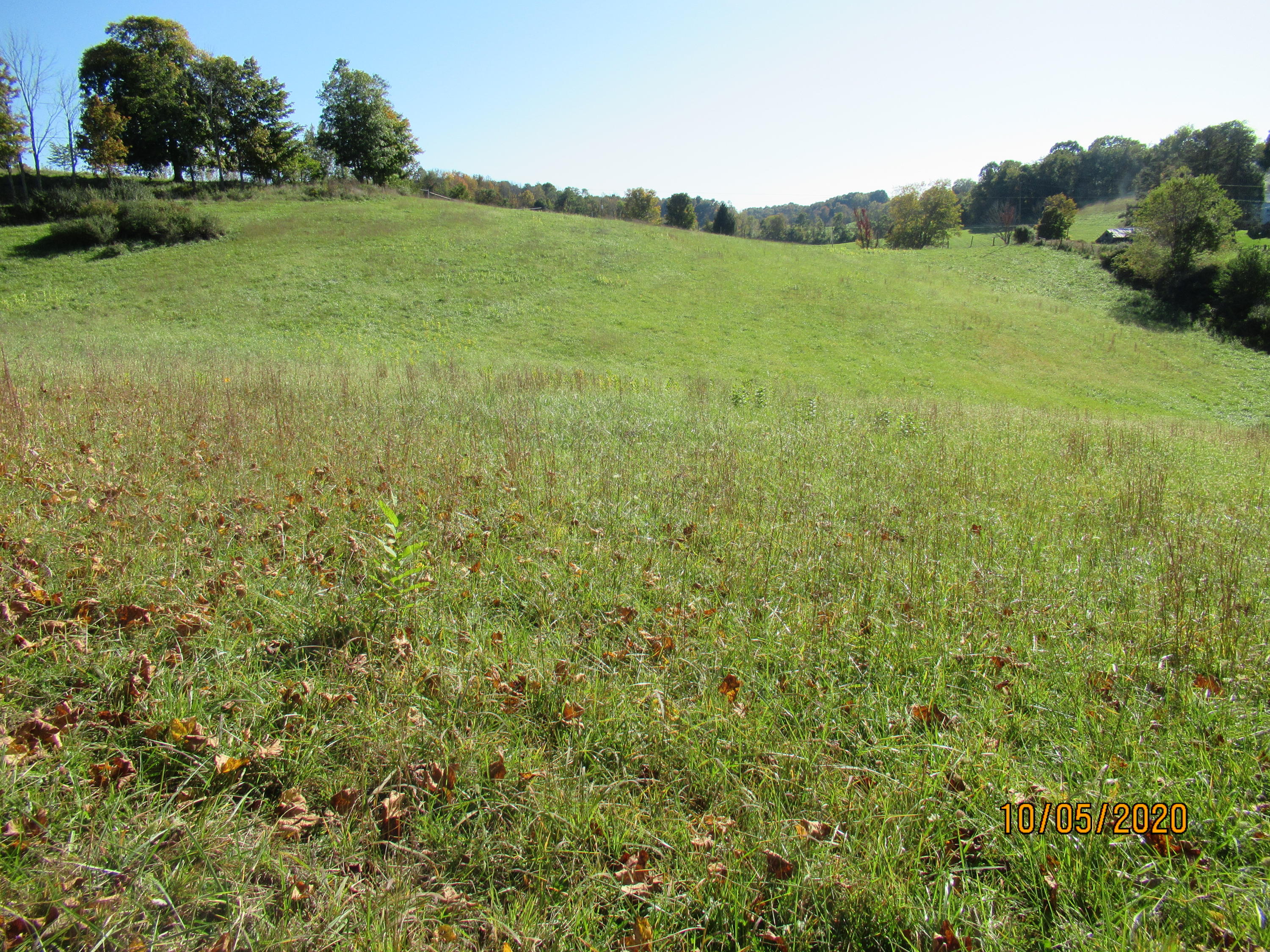 Charles Booth Road Sinks Grove, WV 24976 - Photo 11 of 18 Gallery Image 11