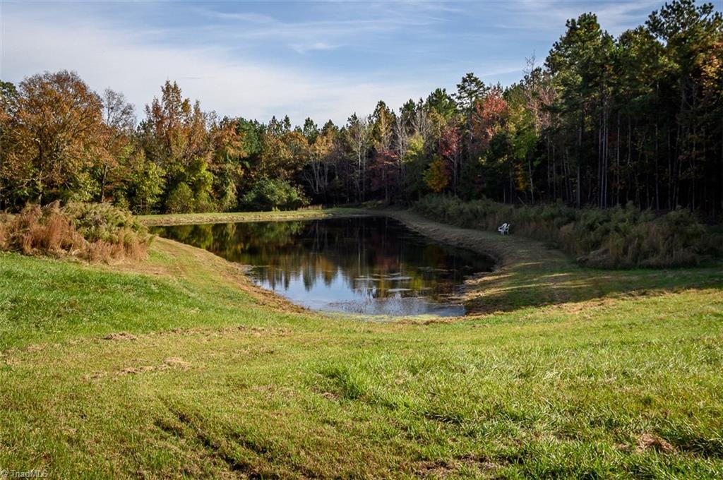 206 Pike Memory Lane Staley, NC 27355 - Photo 13 of 49