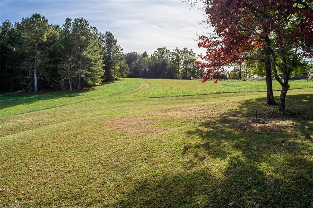 206 Pike Memory Lane Staley, NC 27355 - Photo 14 of 49