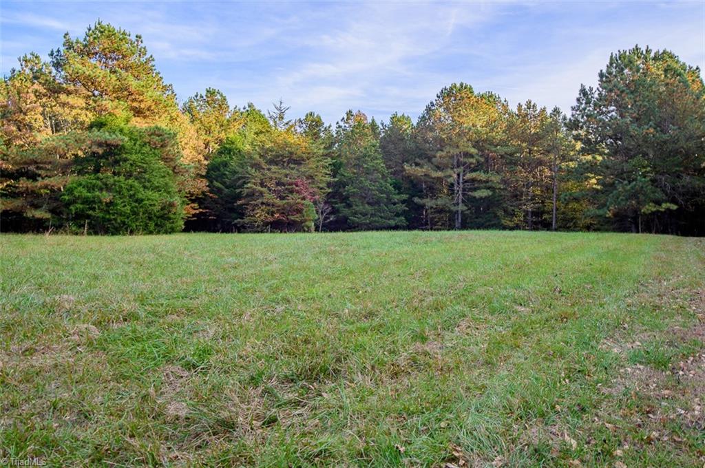 206 Pike Memory Lane Staley, NC 27355 - Photo 38 of 49