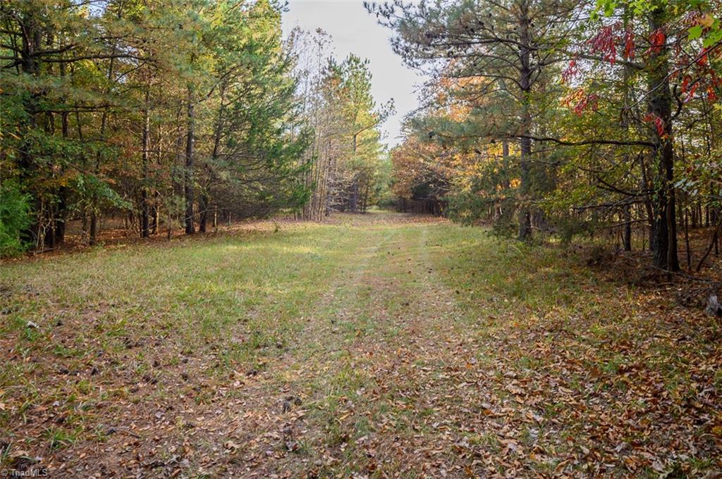 206 Pike Memory Lane Staley, NC 27355 - Photo 39 of 49