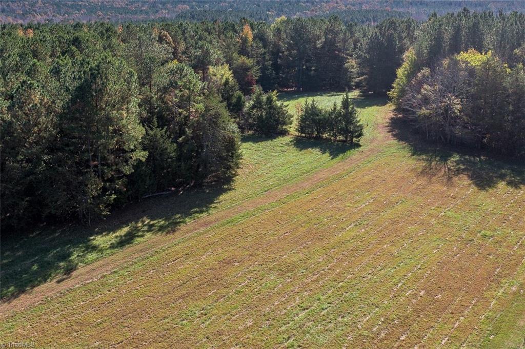 206 Pike Memory Lane Staley, NC 27355 - Photo 44 of 49