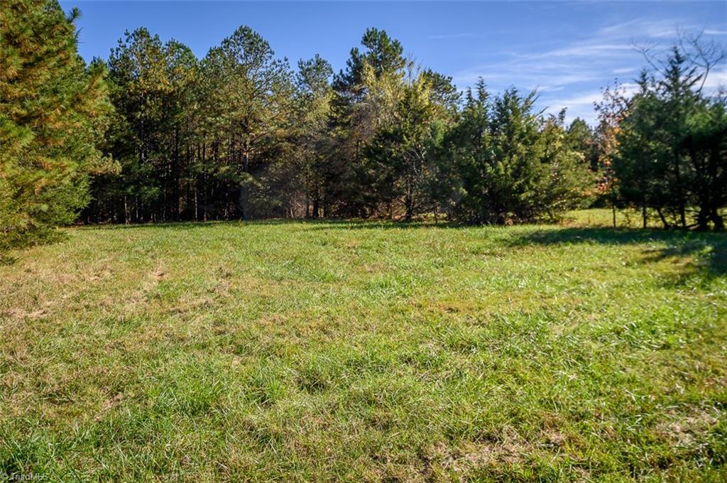 206 Pike Memory Lane Staley, NC 27355 - Photo 46 of 49