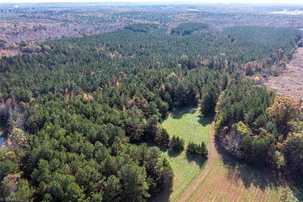 206 Pike Memory Lane Staley, NC 27355 - Photo 49 of 49