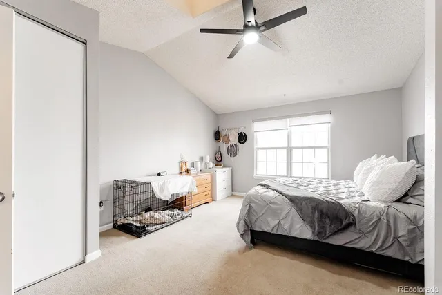 a bedroom with a bed couch and a window