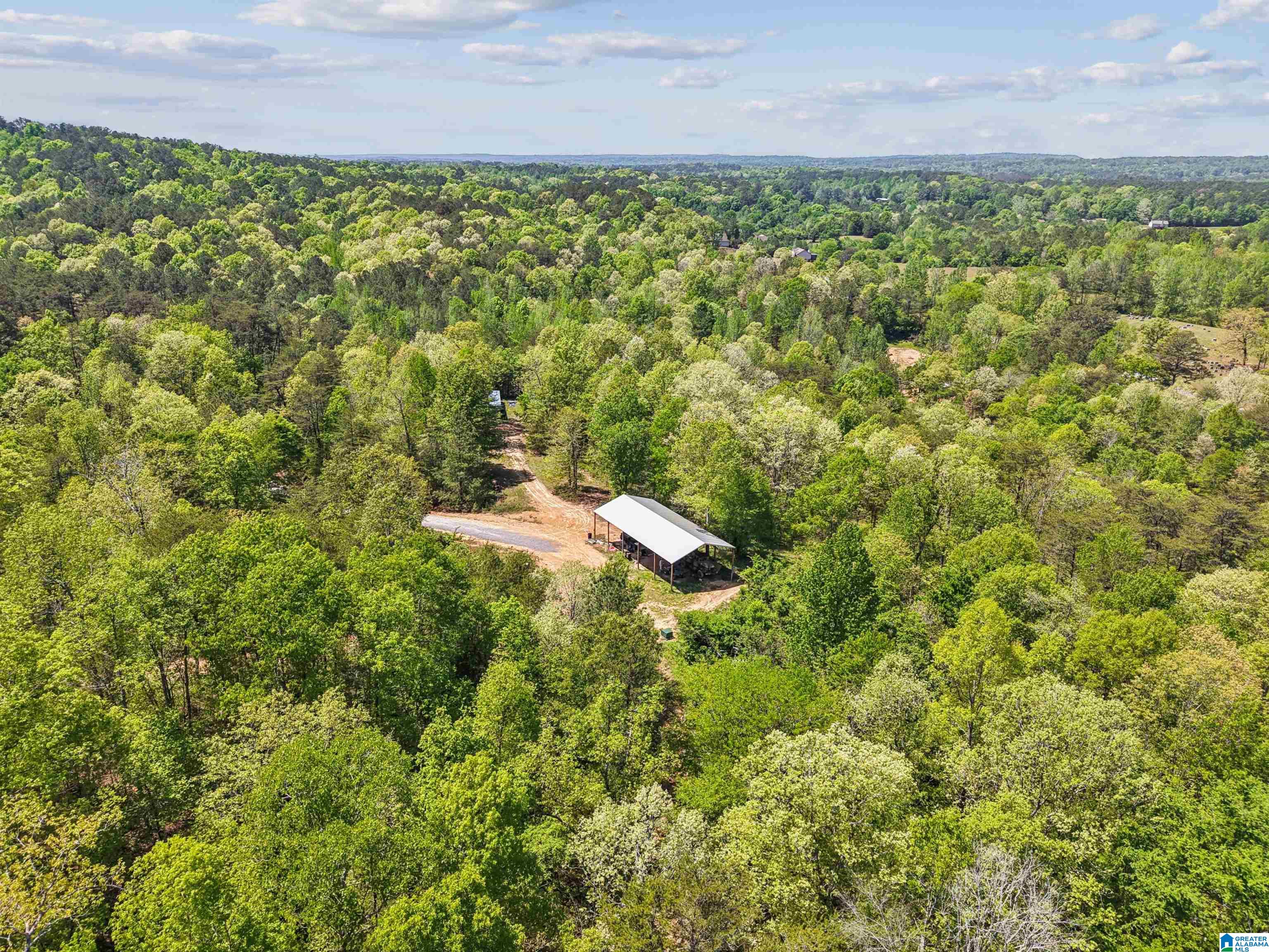 1678 Hays Cemetery Road Hayden, AL 35079 - Photo 18 of 87