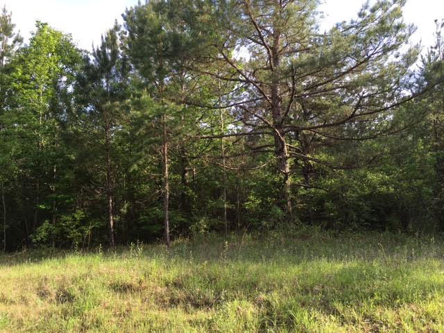 388 Elliott Cemetery Road Tylertown, MS 39667 - Photo 1 of 1 Main View